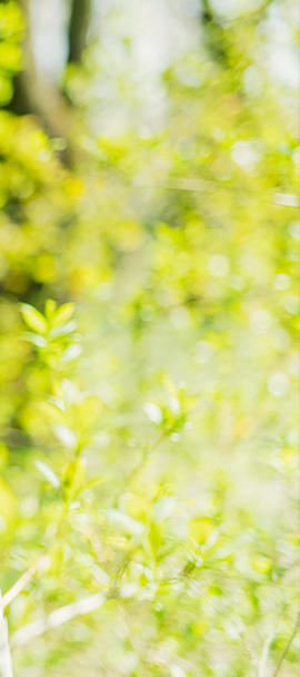 心も外見も整えるおうちサロン PRIVATE SALON ma'am ～マーム～